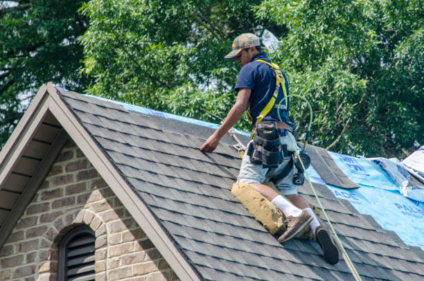 Best New Roof Installation  in Mcgaheysville, VA